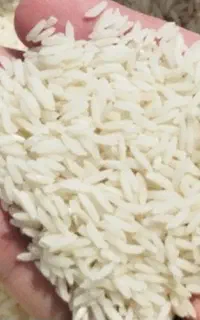 برنج طارم هاشمی