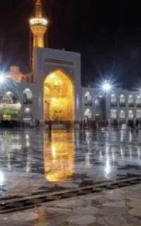 تورمشهدبدون پیش پرداخت الان رزرو کن