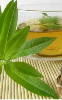 به لیمو،فلفل قرمز خشک،نعنا خشک معطر