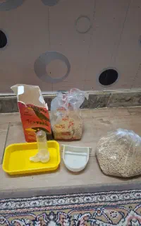 فروش لوازم پرنده