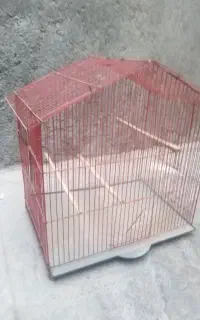 قفس بزرگ
