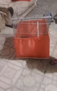 قفس
