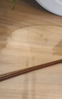 آرشه  ویولن