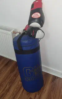 کیسه و دستکش بوکس