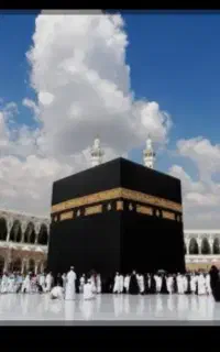 فیش حج عمره مفرده