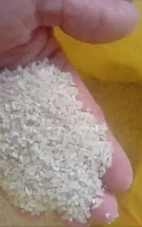 برنج