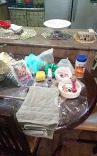 وسیله مورد نیاز سگ