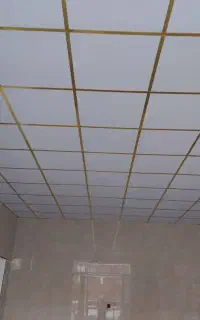 سقف کاذب و درب برقی