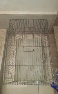 قفس پرنده سالم
