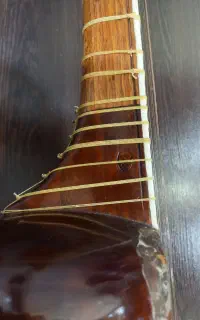 تار حرفه ای و سه تار