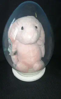 خرگوش جیلی کت