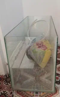 سلام آکواریوم برای فروش سالم