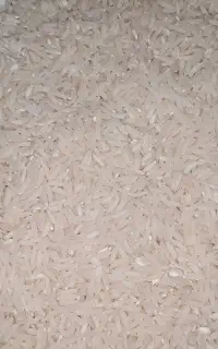 برنج طارم بدون حشره و پخت عالی