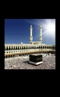 فیش عمره اولویت354