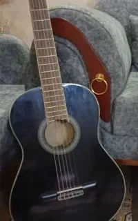 گیتار نو همراه با کیف