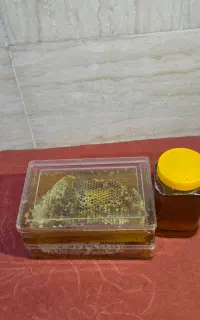 عسل طبیعی