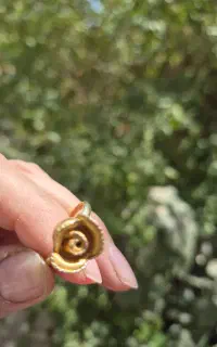 انگشتر خارجی