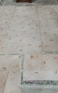 پالاز موکت