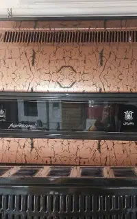 بخاری گازی پاییزان ۱۴۰۰۰ به قیمت سال قبل