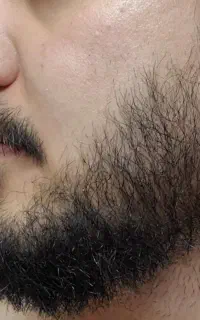 کَف دستِت هم بزنی مثل کَره مو درمیاد