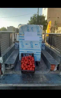 آبگیری گوجه در محل وبه صورت سیار