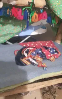 کریر و روروک و للو چوبی لری همگی نووسالم