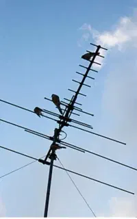 آنتن گرد