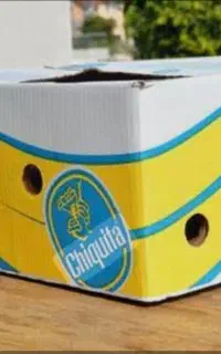 کارتن موزیی موجوده