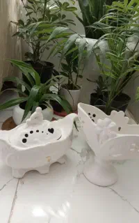 ظروف توگنجه ای