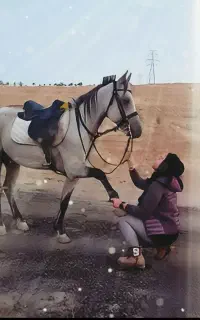 سوارکاری و گشت