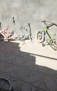 تنه دوچرخه