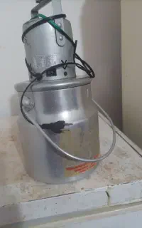 شادگان