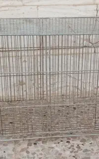قفس پرنده