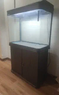 اکواریوم  شیشه خم