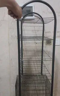 جا کفشی
