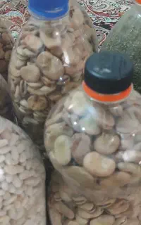 لوبیا باقلا نعنا خشک..
