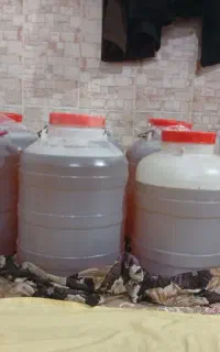 عسل بهار