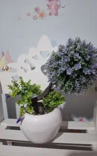 گل درختچه ای