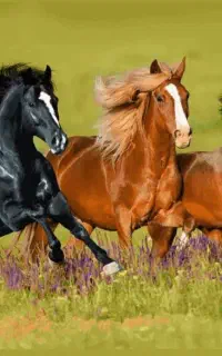 کارگاه کارافرین