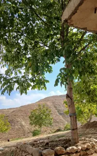 حواله سورن پلاس