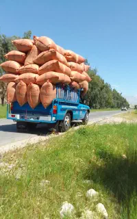 نیسان بار کرایه ای