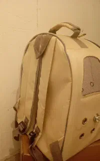 کوله پشتی عروس هلندی یا قناری