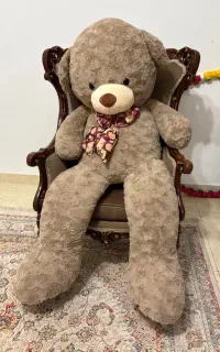 خرس دو متری نو