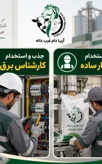 استخدام کارشناس برق و نیروی کار ساده