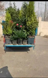 خدمات باغبانی تعویض خاک گلدون صفر تا صد گل کاری