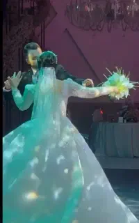 دیجی وگل آرایی حرفه ای