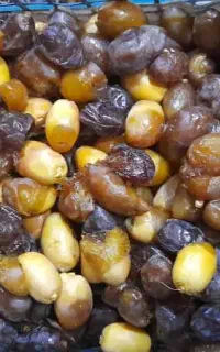 رطب اقتصادی ارزان برای فروشندگان مغازه داران و