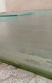 آکواریوم