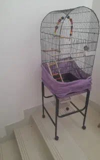 قفس پرنده