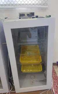 دستگاه جوجه کشی  ۱۶۸ تایی